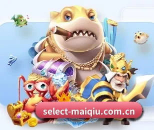 select-maiqiu.com.cn的故事 - 体育资讯内容服务